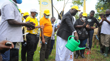 mtn-uganda's-'uganda-is-home'-campaign-revitalizes-220-hectares-of-forest-cover