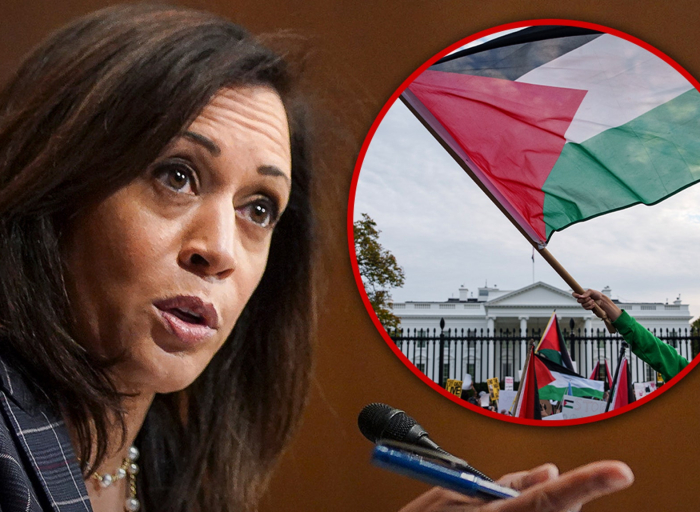 vp-kamala-harris'-'kimmel'-interview-interrupted-by-palestine-protesters