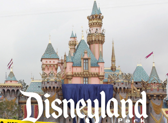 disneyland-employee-dies-after-golf-cart-accident-at-park,-cops-say