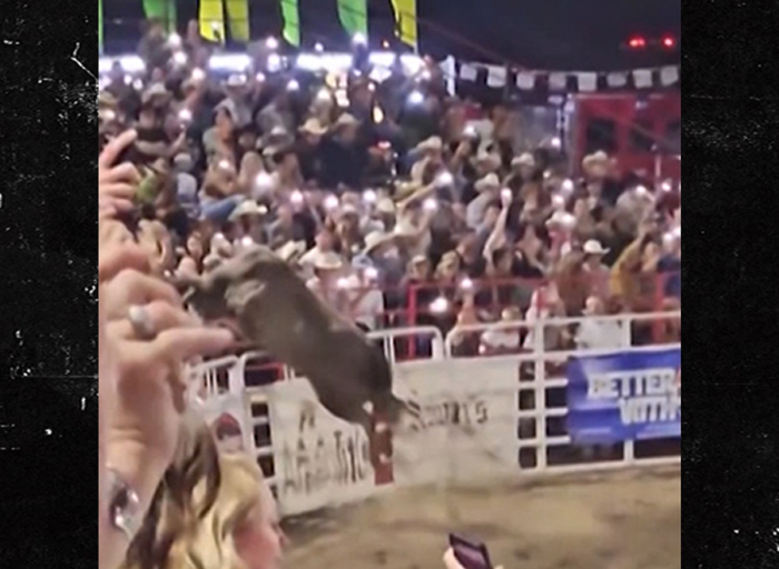 oregon-rodeo-bull-won't-be-put-down-following-rampage,-officials-say