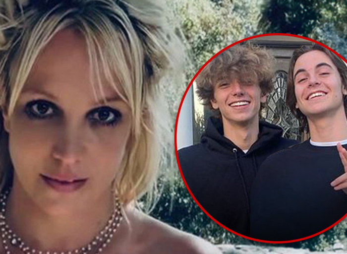 britney-spears's-sons-have-not-reconciled-with-her,-despite-reports-to-contrary