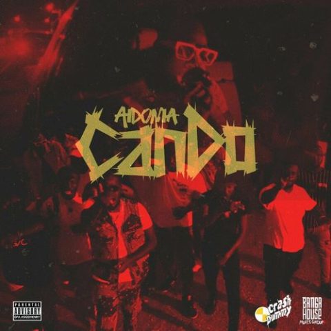 aidonia-–-can-do-(audio-&-music-video)-–-crash-dummy-&-banga-house