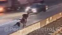 woman-tossed-into-oncoming-traffic,-brutal-assault-on-camera