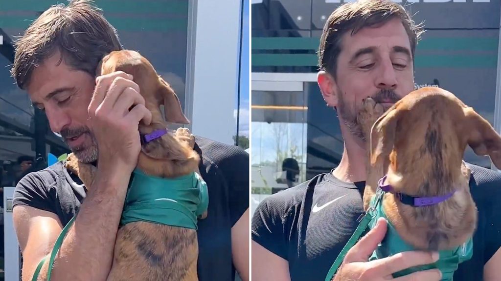 aaron-rodgers-cuddles-puppy-at-jets-training-camp