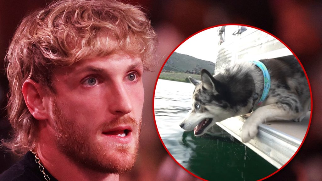 logan-paul-readdresses-controversial-dog-video,-‘i-would-never’-push-pup-off-boat