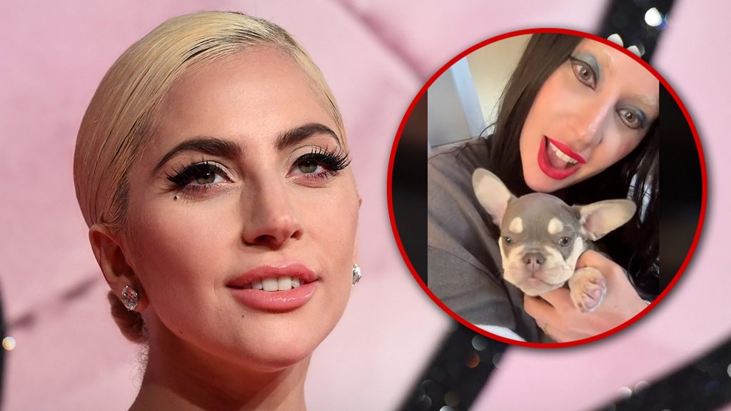 lady-gaga-shows-off-her-new-french-bulldog-on-tiktok