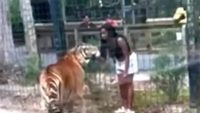 woman-charged-with-climbing-over-zoo-fence-to-pet-tiger-in-viral-video