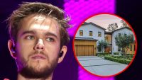 zedd-dismisses-temporary-restraining-order-against-alleged-harasser