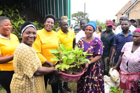 president-museveni-gives-out-coffee-seedlings-to-gomba-and-sembabule-farmers