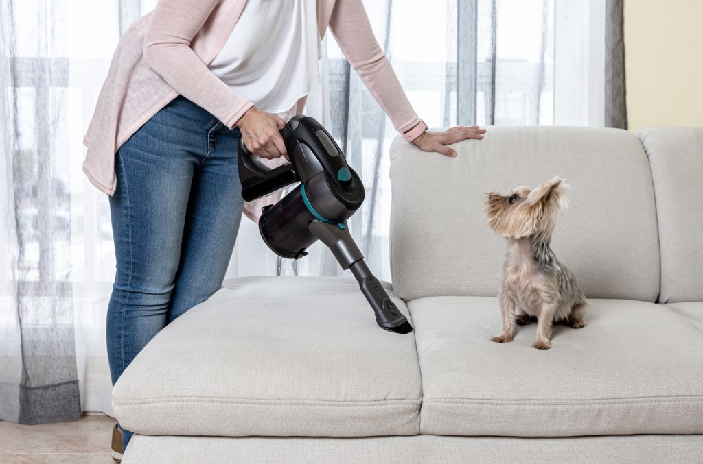 reviewers-say-this-tiktok-viral-portable-pet-vacuum-‘picks-up-so-much-dog-hair-&-dirt’:-get-yours-now-for-just $80