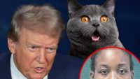 cat-eating-suspect-is-american-with-mental-health-issue,-truth-about-trump-claim