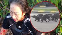 jogger-covered-in-blood-after-violent-otter-attack