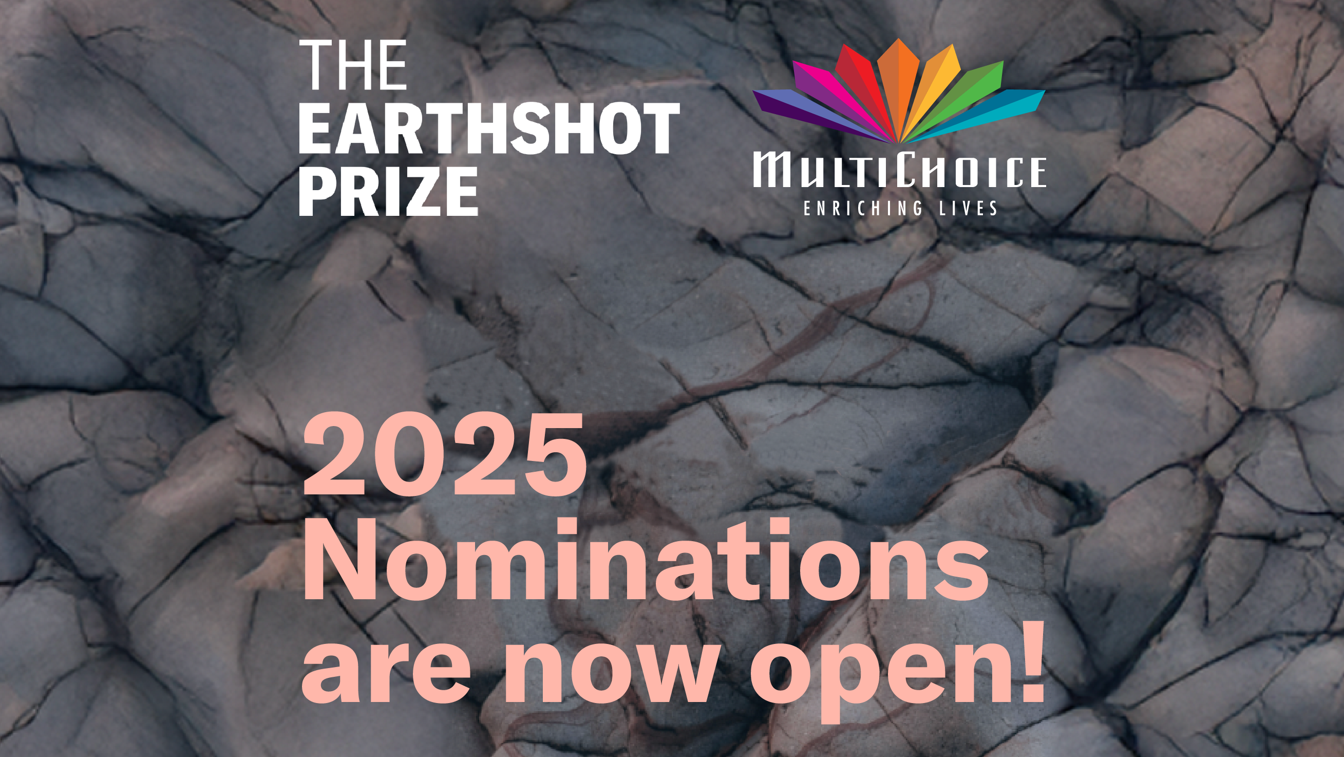 Earthshot Prize invites African nominations for 2025 cohort